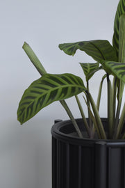 Matera Bilbao Pequeña